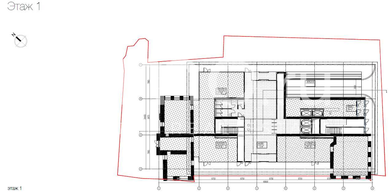 Планировка офиса 4500 м², 1 этаж, БЦ «Красная Роза, Рябушинский»
